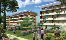 SCELLIER Marseille